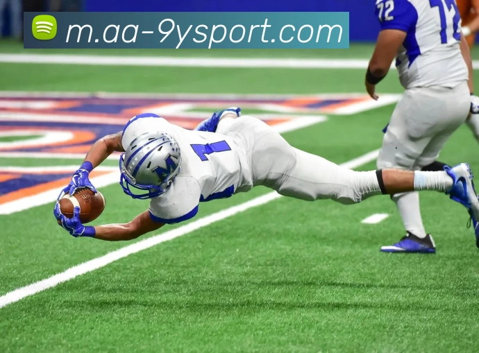 九游足球平台生态图