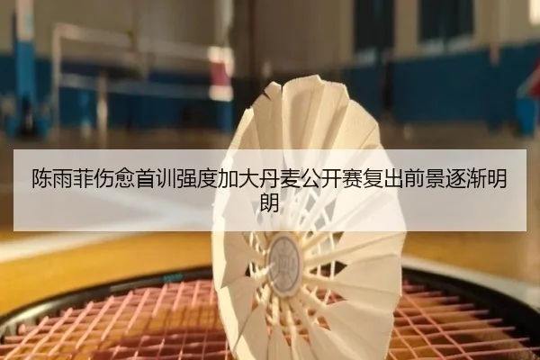 陈雨菲伤愈首训强度加大丹麦公开赛复出前景逐渐明朗 | jiuyou